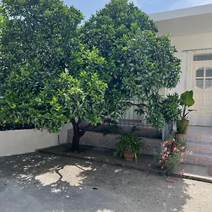  Affittacamere For Rent Habipi Albania